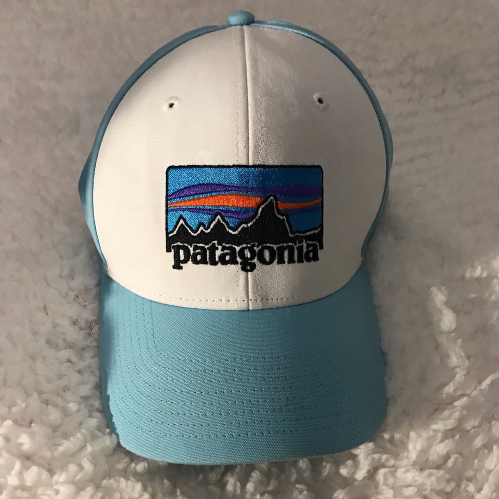 patagonia hat ★